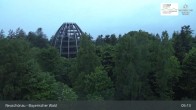 Archiv Foto Webcam Neuschönau - Besucherzentrum Nationalpark Bayerischer Wald 05:00