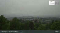 Archiv Foto Webcam Neuschönau - Besucherzentrum Nationalpark Bayerischer Wald 08:00