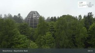 Archiv Foto Webcam Neuschönau - Besucherzentrum Nationalpark Bayerischer Wald 09:00
