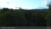 Archiv Foto Webcam Neuschönau - Besucherzentrum Nationalpark Bayerischer Wald 02:00