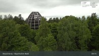 Archived image Webcam Neuschönau - Visitor center Lusen National Park 08:00