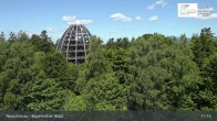 Archiv Foto Webcam Neuschönau - Besucherzentrum Nationalpark Bayerischer Wald 10:00