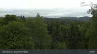 Archiv Foto Webcam Neuschönau - Besucherzentrum Nationalpark Bayerischer Wald 07:00