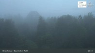 Archiv Foto Webcam Neuschönau - Besucherzentrum Nationalpark Bayerischer Wald 04:00