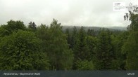 Archiv Foto Webcam Neuschönau - Besucherzentrum Nationalpark Bayerischer Wald 08:00