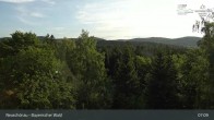 Archiv Foto Webcam Neuschönau - Besucherzentrum Nationalpark Bayerischer Wald 06:00