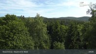 Archiv Foto Webcam Neuschönau - Besucherzentrum Nationalpark Bayerischer Wald 08:00