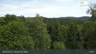 Archiv Foto Webcam Neuschönau - Besucherzentrum Nationalpark Bayerischer Wald 10:00