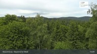 Archiv Foto Webcam Neuschönau - Besucherzentrum Nationalpark Bayerischer Wald 14:00