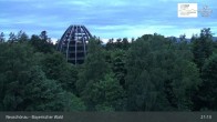 Archived image Webcam Neuschönau - Visitor center Lusen National Park 00:00