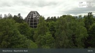 Archived image Webcam Neuschönau - Visitor center Lusen National Park 08:00
