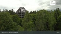 Archived image Webcam Neuschönau - Visitor center Lusen National Park 10:00