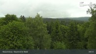 Archiv Foto Webcam Neuschönau - Besucherzentrum Nationalpark Bayerischer Wald 08:00