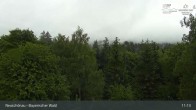 Archiv Foto Webcam Neuschönau - Besucherzentrum Nationalpark Bayerischer Wald 10:00