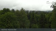 Archiv Foto Webcam Neuschönau - Besucherzentrum Nationalpark Bayerischer Wald 12:00