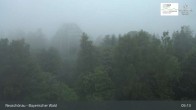 Archiv Foto Webcam Neuschönau - Besucherzentrum Nationalpark Bayerischer Wald 04:00