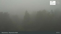 Archiv Foto Webcam Neuschönau - Besucherzentrum Nationalpark Bayerischer Wald 06:00