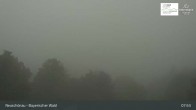 Archiv Foto Webcam Neuschönau - Besucherzentrum Nationalpark Bayerischer Wald 07:00