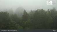Archived image Webcam Neuschönau - Visitor center Lusen National Park 08:00