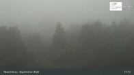 Archived image Webcam Neuschönau - Visitor center Lusen National Park 10:00