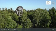 Archiv Foto Webcam Neuschönau - Besucherzentrum Nationalpark Bayerischer Wald 07:00