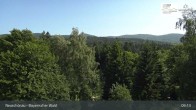 Archiv Foto Webcam Neuschönau - Besucherzentrum Nationalpark Bayerischer Wald 08:00