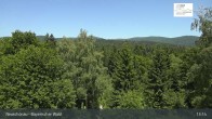 Archiv Foto Webcam Neuschönau - Besucherzentrum Nationalpark Bayerischer Wald 12:00