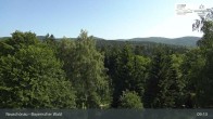 Archiv Foto Webcam Neuschönau - Besucherzentrum Nationalpark Bayerischer Wald 08:00