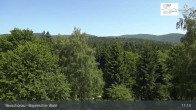 Archiv Foto Webcam Neuschönau - Besucherzentrum Nationalpark Bayerischer Wald 10:00
