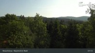 Archiv Foto Webcam Neuschönau - Besucherzentrum Nationalpark Bayerischer Wald 06:00
