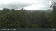 Archiv Foto Webcam Neuschönau - Besucherzentrum Nationalpark Bayerischer Wald 06:00