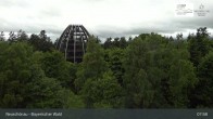Archiv Foto Webcam Neuschönau - Besucherzentrum Nationalpark Bayerischer Wald 07:00
