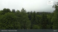 Archiv Foto Webcam Neuschönau - Besucherzentrum Nationalpark Bayerischer Wald 08:00