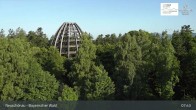 Archiv Foto Webcam Neuschönau - Besucherzentrum Nationalpark Bayerischer Wald 07:00