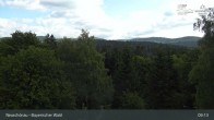 Archiv Foto Webcam Neuschönau - Besucherzentrum Nationalpark Bayerischer Wald 08:00