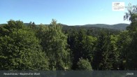 Archiv Foto Webcam Neuschönau - Besucherzentrum Nationalpark Bayerischer Wald 08:00