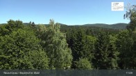 Archiv Foto Webcam Neuschönau - Besucherzentrum Nationalpark Bayerischer Wald 10:00