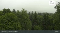 Archiv Foto Webcam Neuschönau - Besucherzentrum Nationalpark Bayerischer Wald 07:00