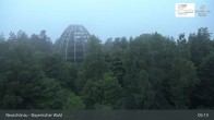 Archiv Foto Webcam Neuschönau - Besucherzentrum Nationalpark Bayerischer Wald 04:00