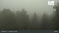 Archiv Foto Webcam Neuschönau - Besucherzentrum Nationalpark Bayerischer Wald 06:00