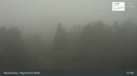 Archiv Foto Webcam Neuschönau - Besucherzentrum Nationalpark Bayerischer Wald 07:00