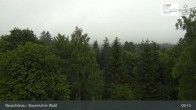 Archiv Foto Webcam Neuschönau - Besucherzentrum Nationalpark Bayerischer Wald 08:00