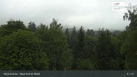 Archiv Foto Webcam Neuschönau - Besucherzentrum Nationalpark Bayerischer Wald 10:00