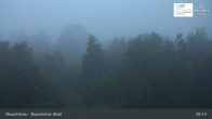 Archiv Foto Webcam Neuschönau - Besucherzentrum Nationalpark Bayerischer Wald 04:00