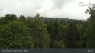 Archiv Foto Webcam Neuschönau - Besucherzentrum Nationalpark Bayerischer Wald 08:00