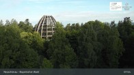Archiv Foto Webcam Neuschönau - Besucherzentrum Nationalpark Bayerischer Wald 07:00