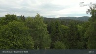 Archiv Foto Webcam Neuschönau - Besucherzentrum Nationalpark Bayerischer Wald 09:00