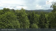 Archiv Foto Webcam Neuschönau - Besucherzentrum Nationalpark Bayerischer Wald 10:00