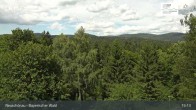 Archiv Foto Webcam Neuschönau - Besucherzentrum Nationalpark Bayerischer Wald 14:00