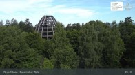 Archiv Foto Webcam Neuschönau - Besucherzentrum Nationalpark Bayerischer Wald 08:00